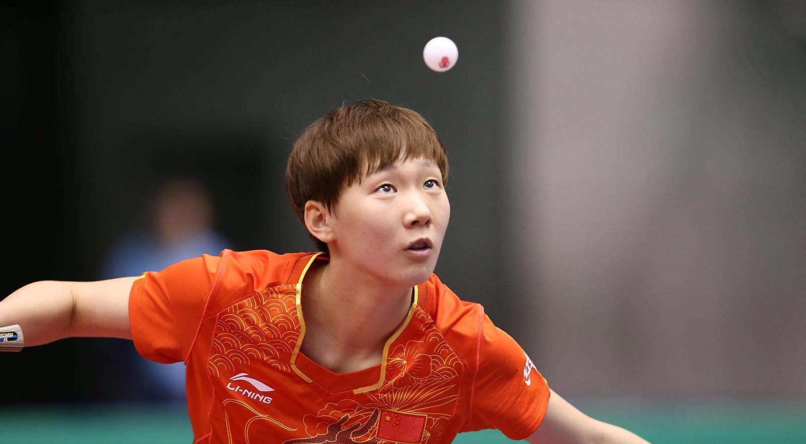 术进行了细 术进行了细